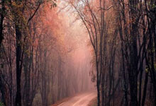 广元电脑维修常见故障别慌！广元电脑卡顿、清灰、重装系统，上门维修一次搞定