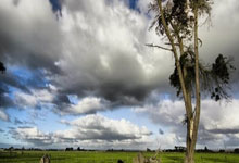 广元电脑维修常见故障别慌！广元电脑卡顿、清灰、重装系统，上门维修一次搞定